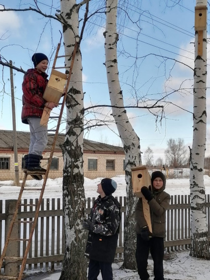 Скворечники.